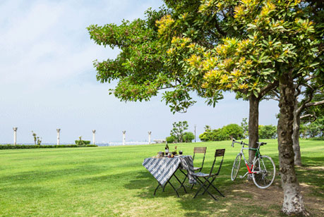 西宮市 鳴尾浜臨海公園（海釣り公園）