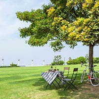 西宮市 鳴尾浜臨海公園（海釣り広場）